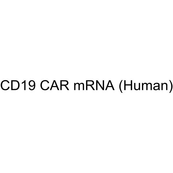 CD19 CAR mRNA (Human)
